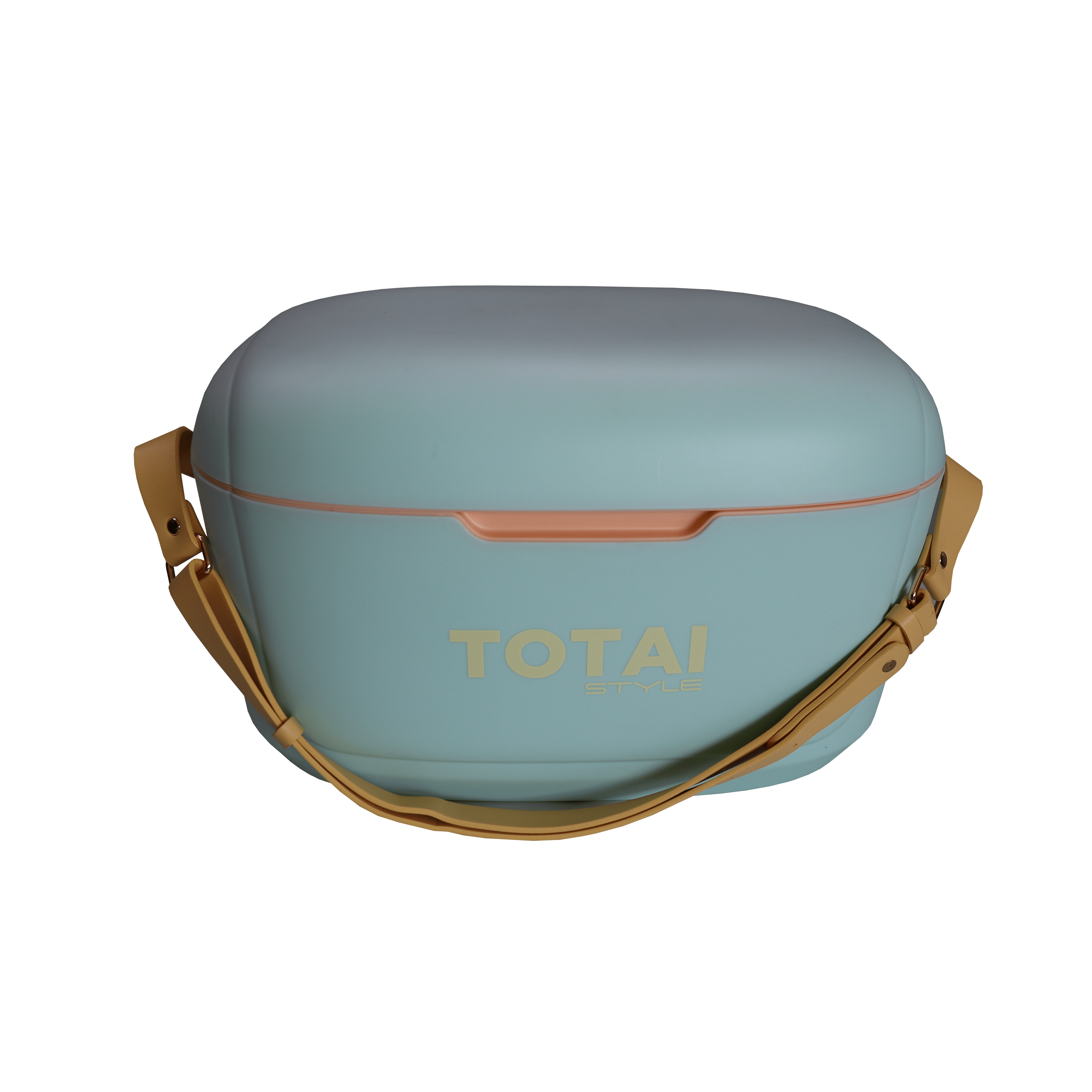 Totai Cooler Box Totai Style 12L Cooler Box Mint 03/TSCB12LM (7879392264281)