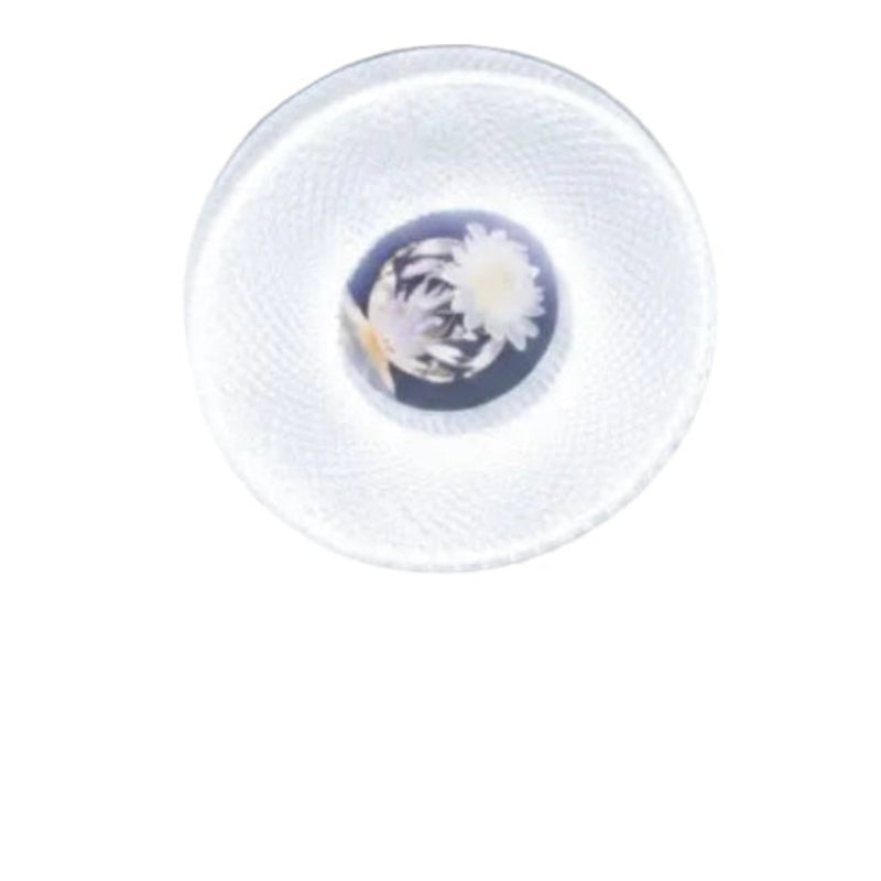 LED Ceiling Light C508/48W