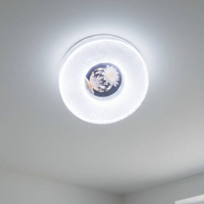 LED Ceiling Light C508/48W