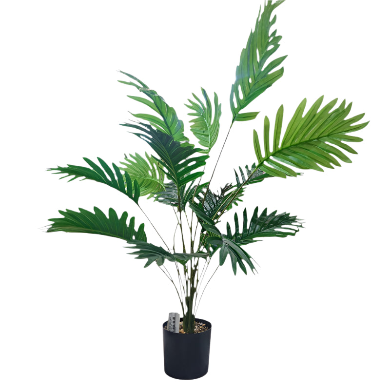 Pu Palm Tree HU1857