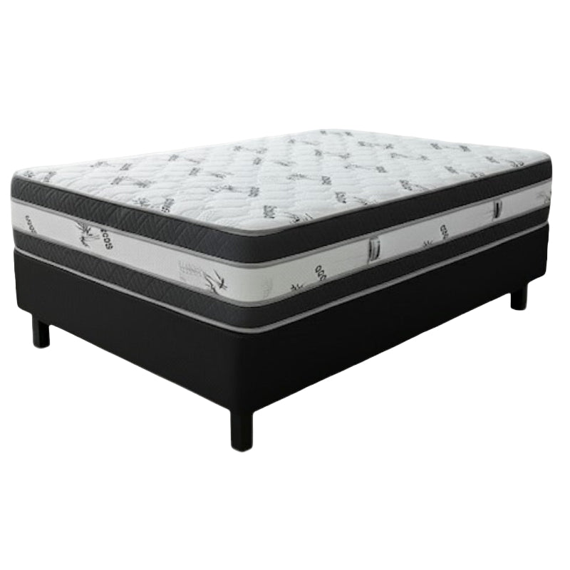 Double Base Set 20 Year 137cm