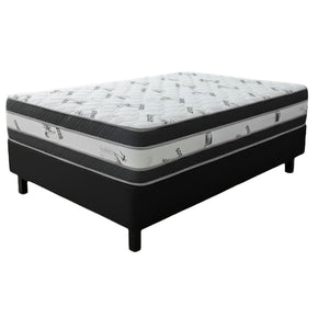 Double Base Set 20 Year 137cm