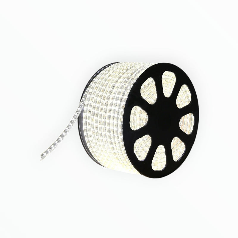 LED Striplight Cool White RL2303 TR6-01