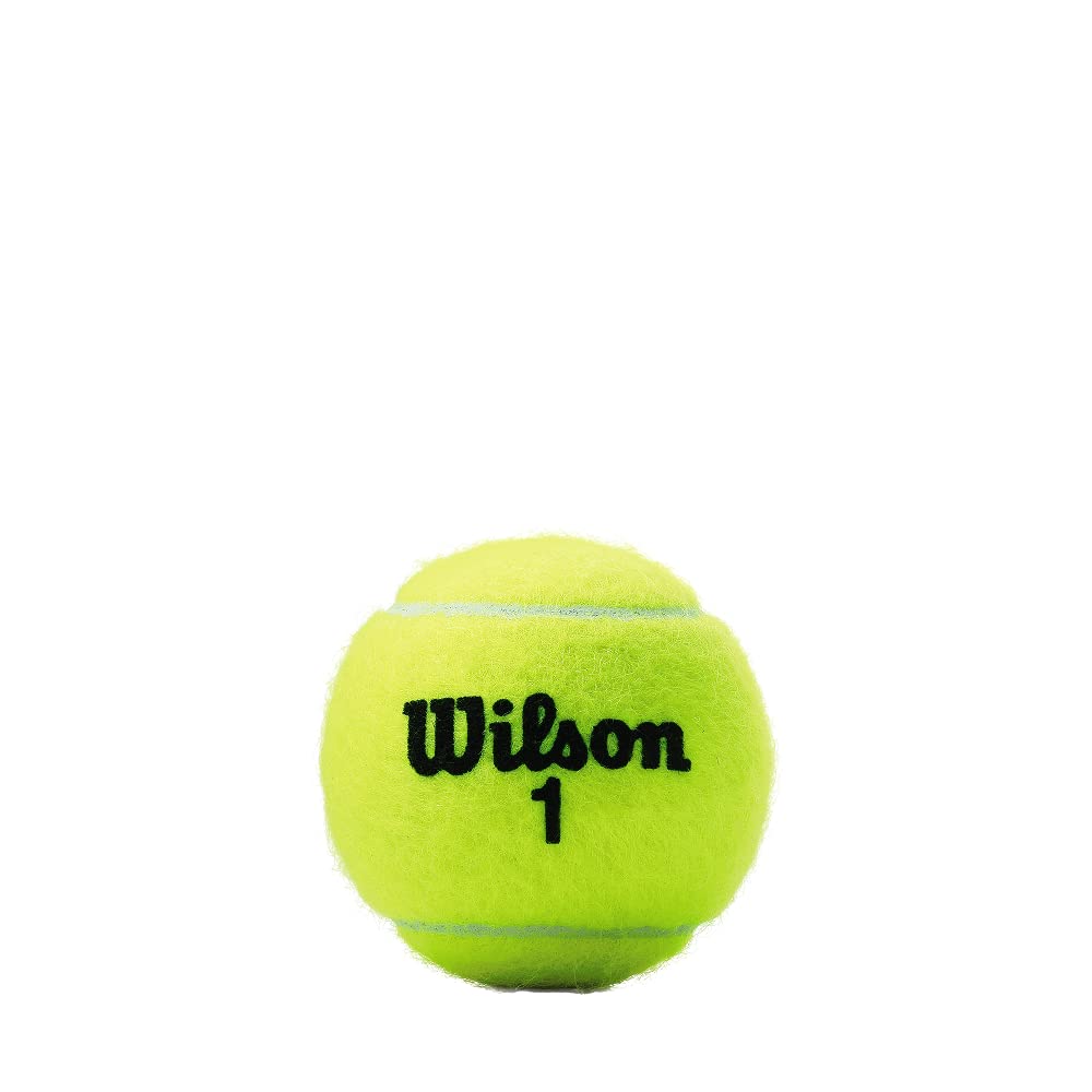 Wilson NBA Wilson Champ Extra Duty Tennis Balls WRT100101 (7288260821081)