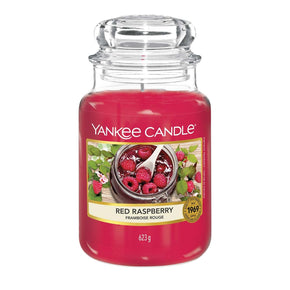 Yankee Candle Candle Yankee Candle Large  Red Raspberry 623g (7467852038233)