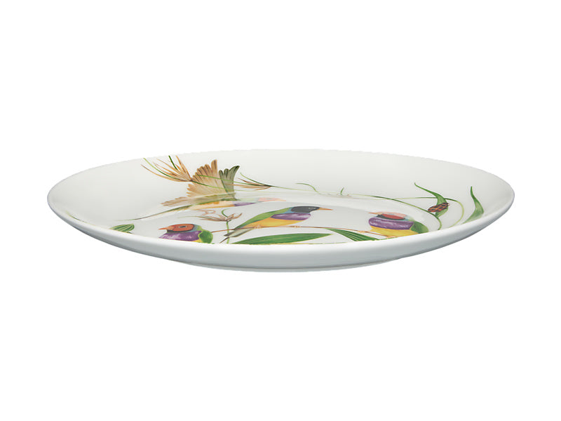 Maxwell & Williams Eloise Short Lyric Plate Gouldian Finch 20cm YD0231