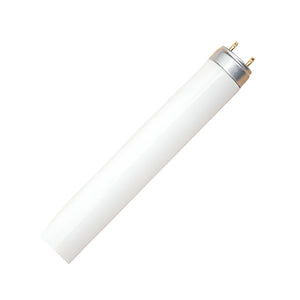 ZAP T8 BULB ZAP 58W Daylight T8 Bulb (7802633879641)