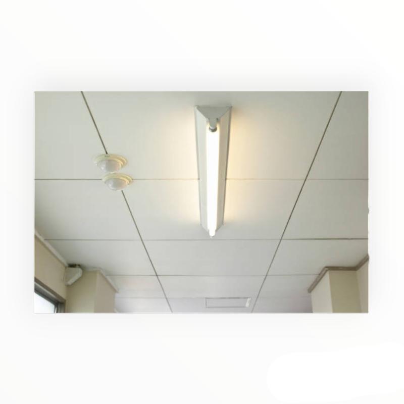 ZAP T8 BULB ZAP 58W Daylight T8 Bulb (7802633879641)