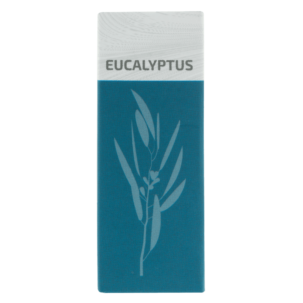 Zen Humidifier Zen Essential Oil 10ml Eucalyptus ZEN-01-E