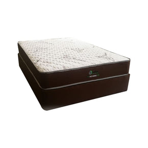 beds MHC Mesmerize Bed Set (2125044088921)