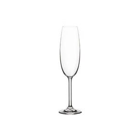 BOHEMIA GLASS Bohemia Crystal Milvus Champagne Flute  250ml Set Of 6 (7284109082713)