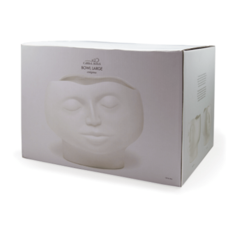 Carrol Boyes VASE Carrol Boyes Bowl Large Enigma 0P-BL-ENI (6821765578841)