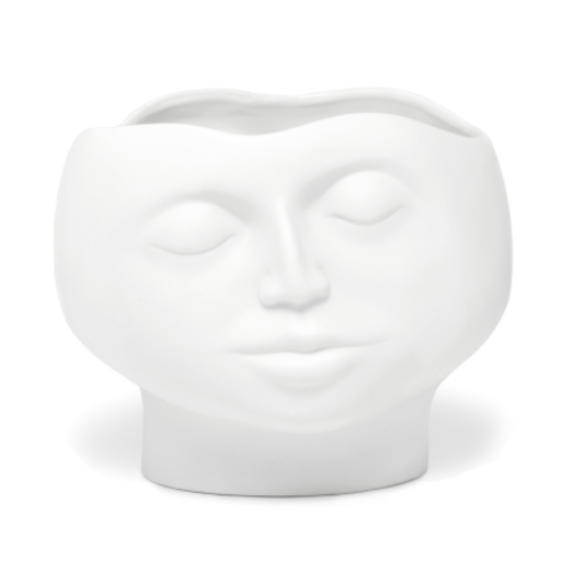 Carrol Boyes VASE Carrol Boyes Bowl Large Enigma 0P-BL-ENI (6821765578841)