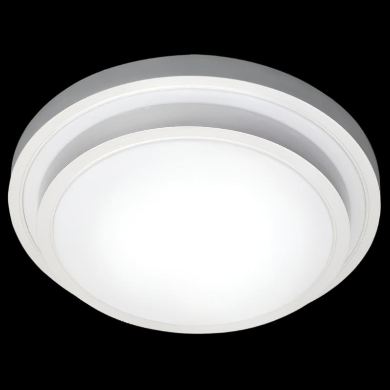 CEILING FITTING Promotions 292mm Ceiling Light CF375 (4347383218265)