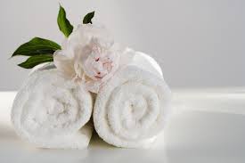 Glodina TOWEL Hand Towel  50 x 90  White Glodina Marathon Platinum White Towel 610gsm (7006462312537)