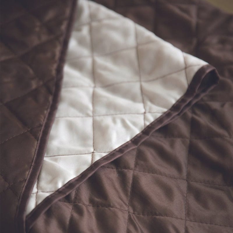 HOMEMAX Couch Cover Homemax 2 Seater Couch Cover Guard - Reversible HCG001 (6954957766745)