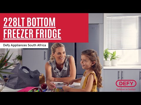Defy 228LT Bottom Freezer Fridge Metallic DAC447