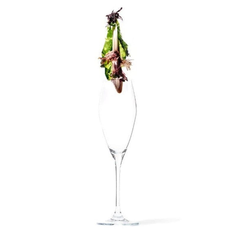 Jan GLASS Jan Champagne Glass 300ml Set Of 4 JH000033 (4677069930585)