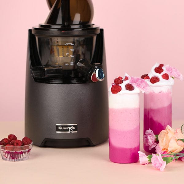 Kuvings Juice Extractor Kuvings Whole Slow Silent Juicer Gun Metal EVO820 (7143901659225)