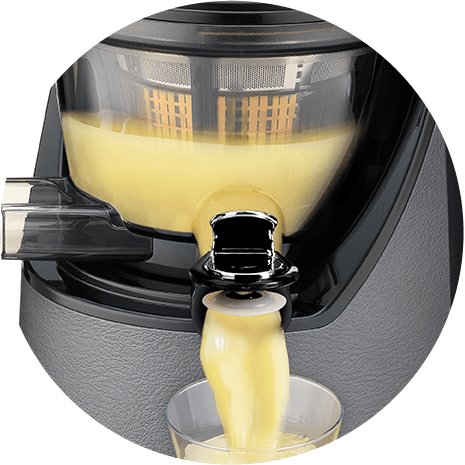 Kuvings Juice Extractor Kuvings Whole Slow Silent Juicer Gun Metal EVO820 (7143901659225)