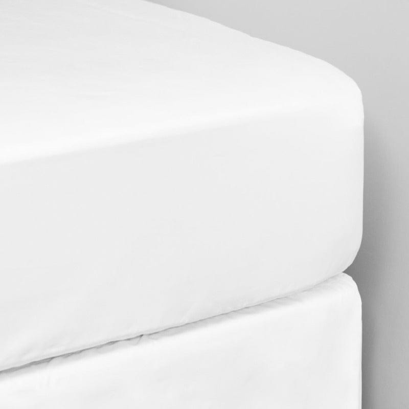 Lifson FITTED SHEET white / Single Lifson -1000 Thread Count Cotton Fitted Sheet - White (4712225669209)