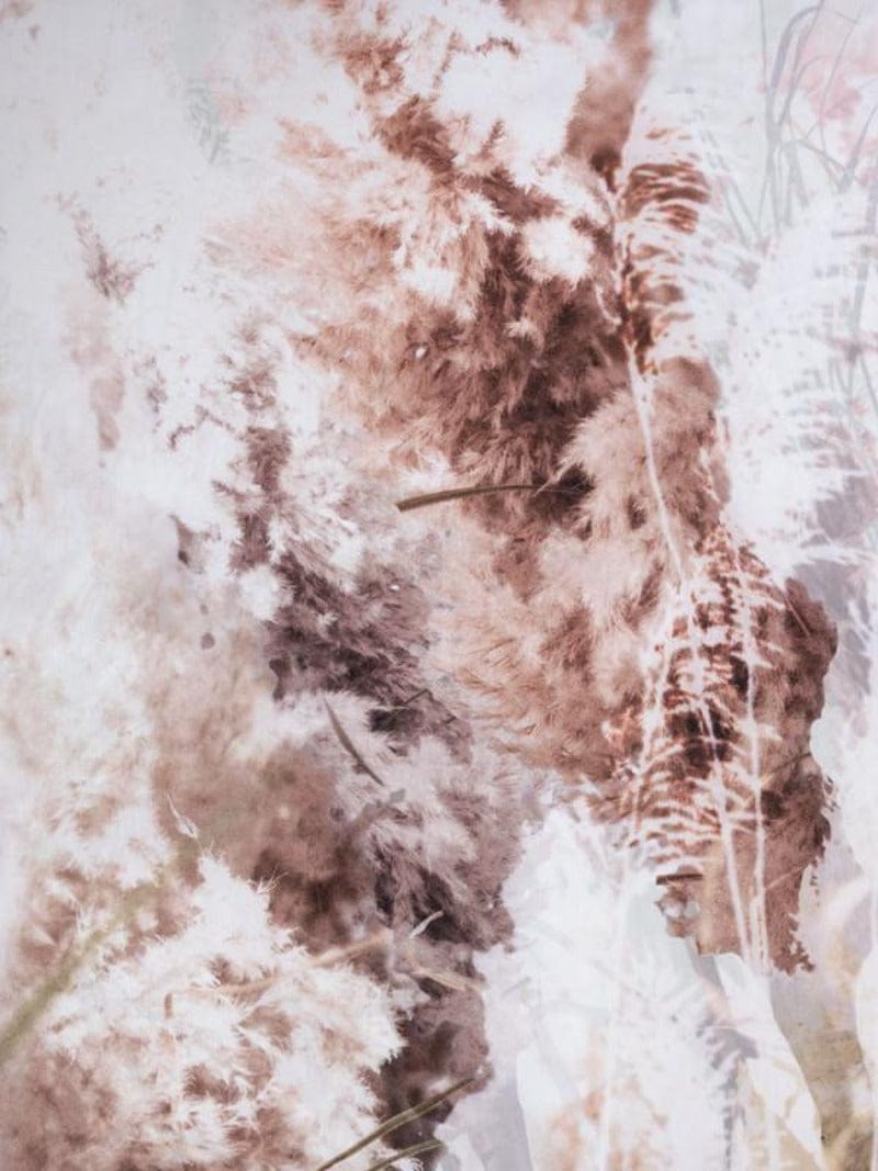 Linen House Duvet Cover Linen House  Duvet Cover Set Multi Grasslands (4780024332377)