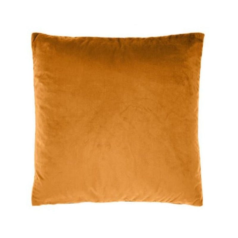 Linen House scatter cushion Linen House Belmore Chai 60 x 60cm Velvet Cushion (4736433881177)