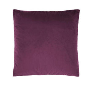 Linen House scatter cushion Linen House Belmore Rosebud 60 x 60 cm Velvet Cushion (4736473071705)