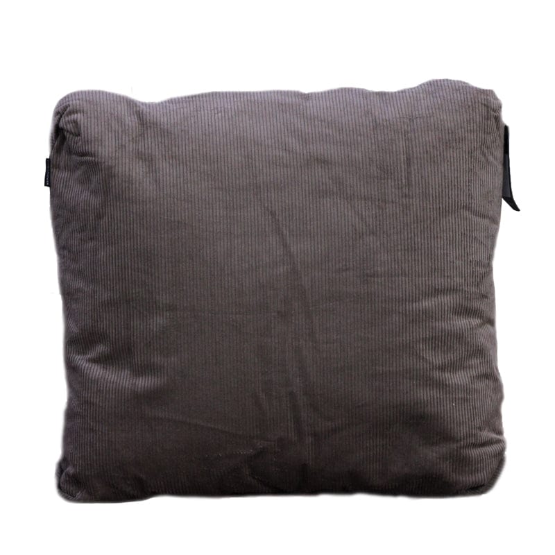 Linen House scatter cushion Linen House Scatter Cushion 55X55 Reagan Latte (2061726744665)