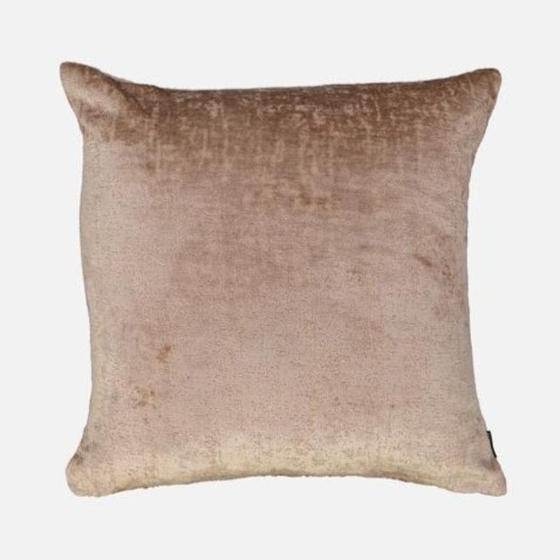 Linen House scatter cushion Linen House Windsor Champagne 55 x 55cm Cushion (7058147573849)
