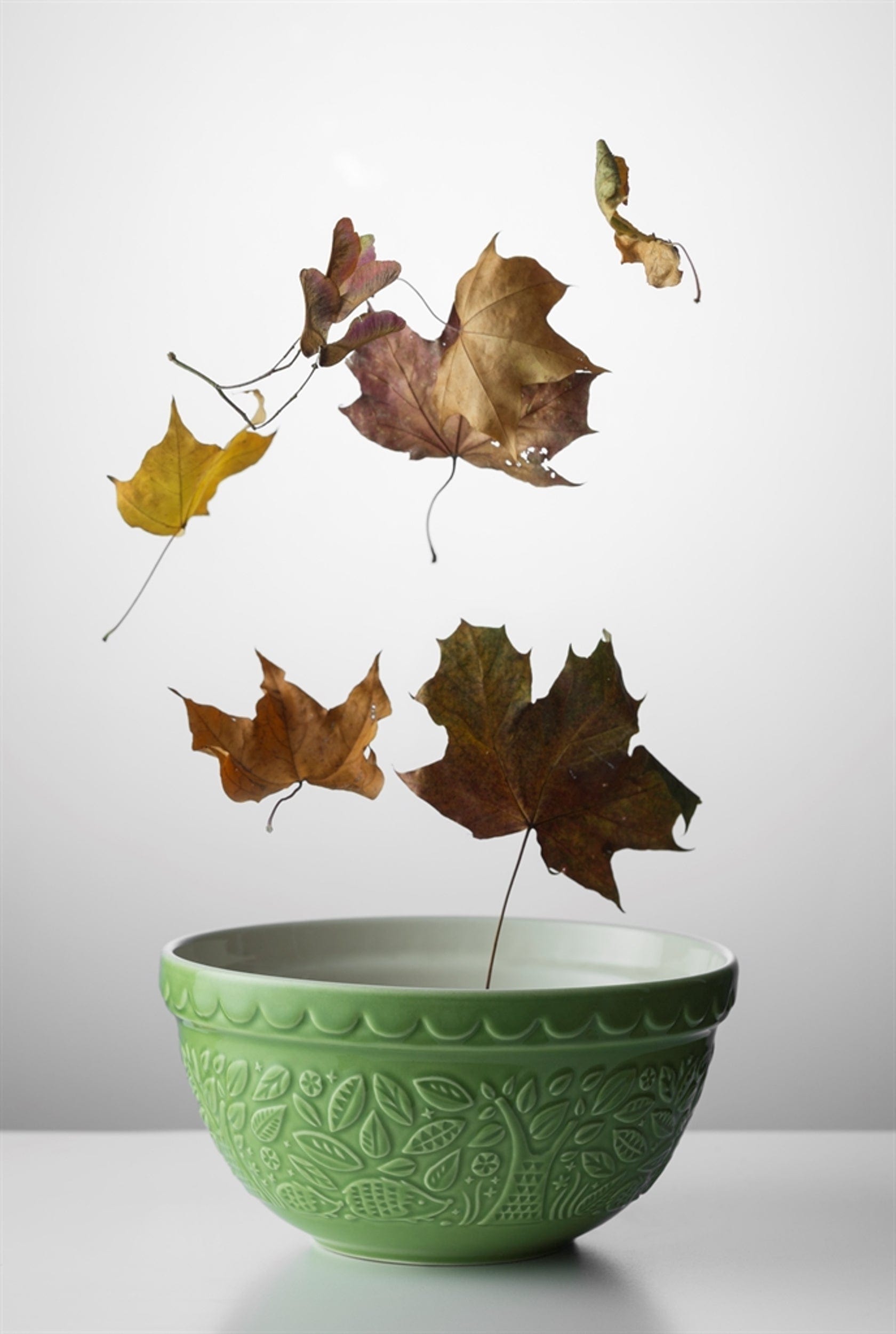 Mason Cash BOWL Mason Cash In The Forest Mixing Bowl Green 21cm MC2001333 (7204352065625)