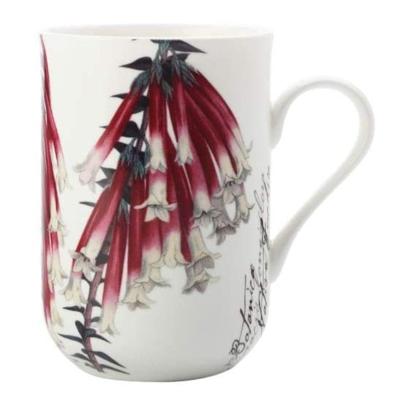 Maxwell & Williams MUG Maxwell & Williams Botanic Mug Fuchsia 300ML (6936782798937)