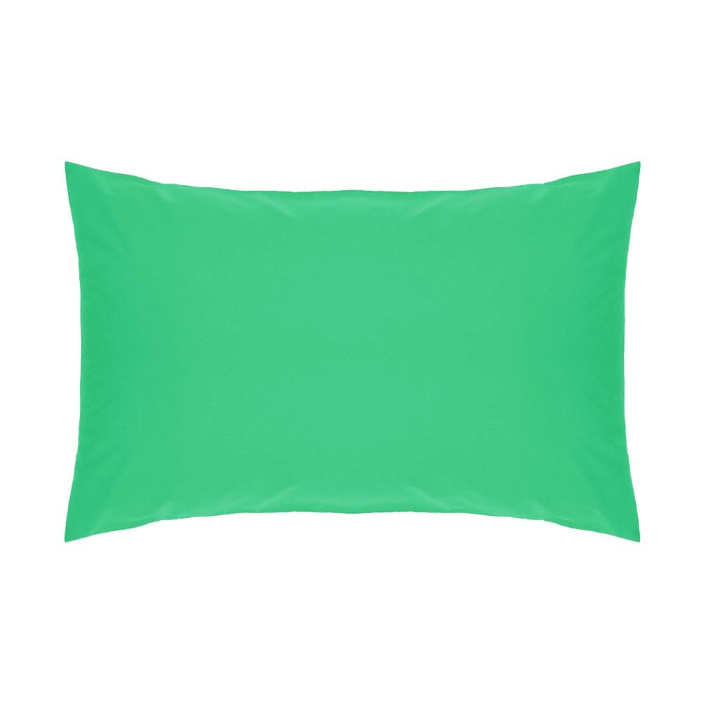 lime (2061740802137)