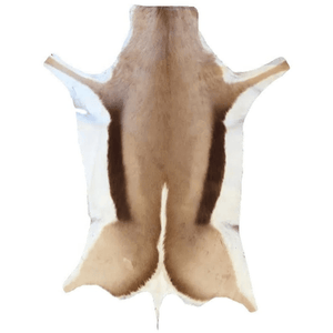 SPRINGBOX rugs Springbok Natural Skin Rug Grade A (2061587644505)