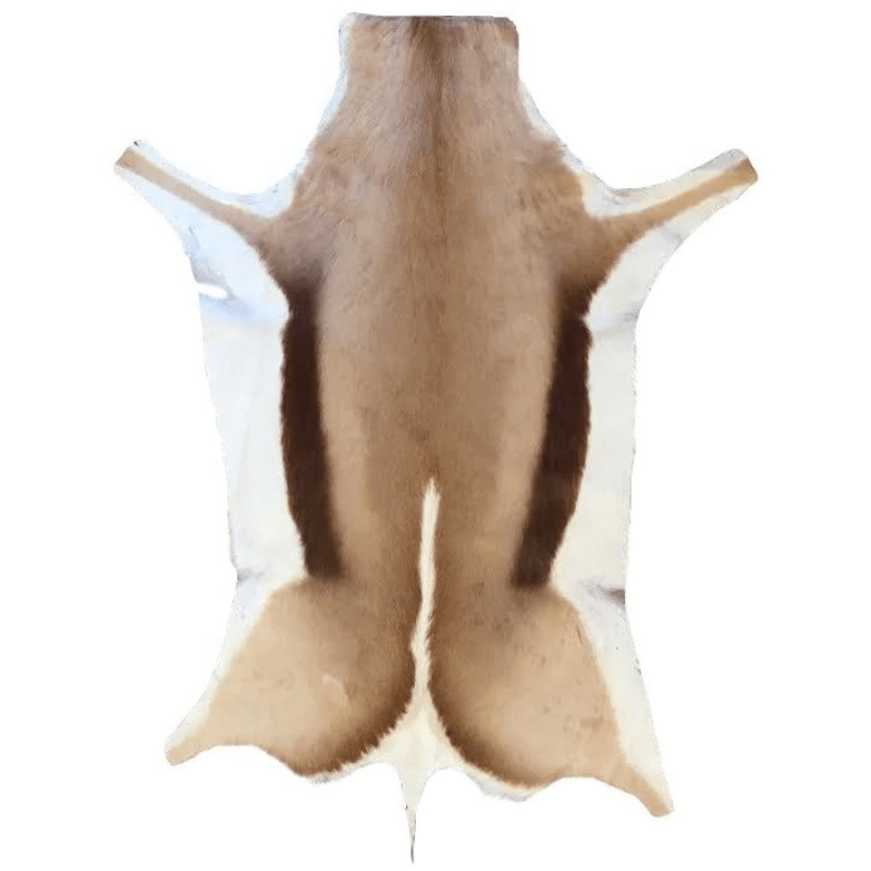 SPRINGBOX rugs Springbok Natural Skin Rug Grade A (2061587644505)