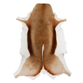 SPRINGBOX rugs Springbok Natural Skin Rug Grade A (2061587644505)