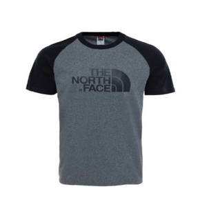 The North face T Shirt The North Face Raglan Easy Tee Grey (7170851209305)