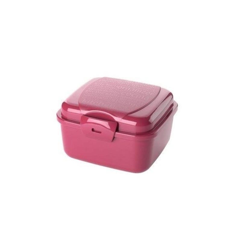 Titiz Plasticware Titiz Takeway Lunch Box 850ML (4767464783961)