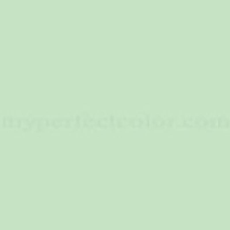 TRILOBAL Dress Fabrics Moss Green 150 cm Trilobal Fabric 150 cm (4753428676697)